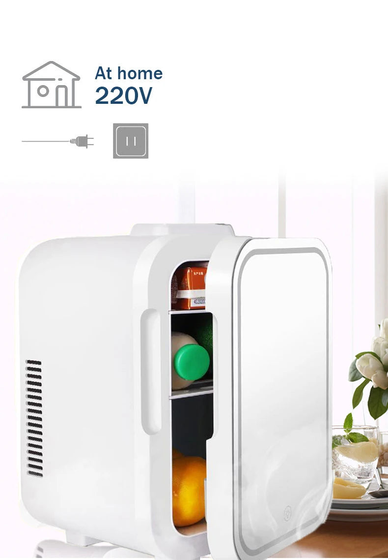 8L Mini Makeup Fridge WIth LED Light Mirror Portable Cosmetic Storage Refrigerator Keep fresh Cooler for Home Car Dual Us