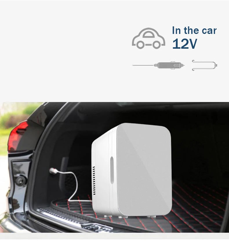 8L Mini Makeup Fridge WIth LED Light Mirror Portable Cosmetic Storage Refrigerator Keep fresh Cooler for Home Car Dual Us